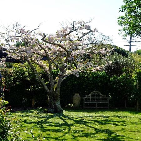 Апартаменты Garden Retreat Otaki Экстерьер фото
